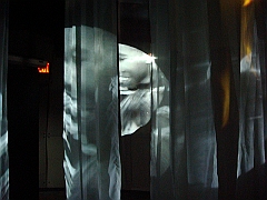 025 Cranbrook Institute of Science [2008 Jan 02]